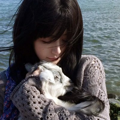 恐龙·怪鸟的传说